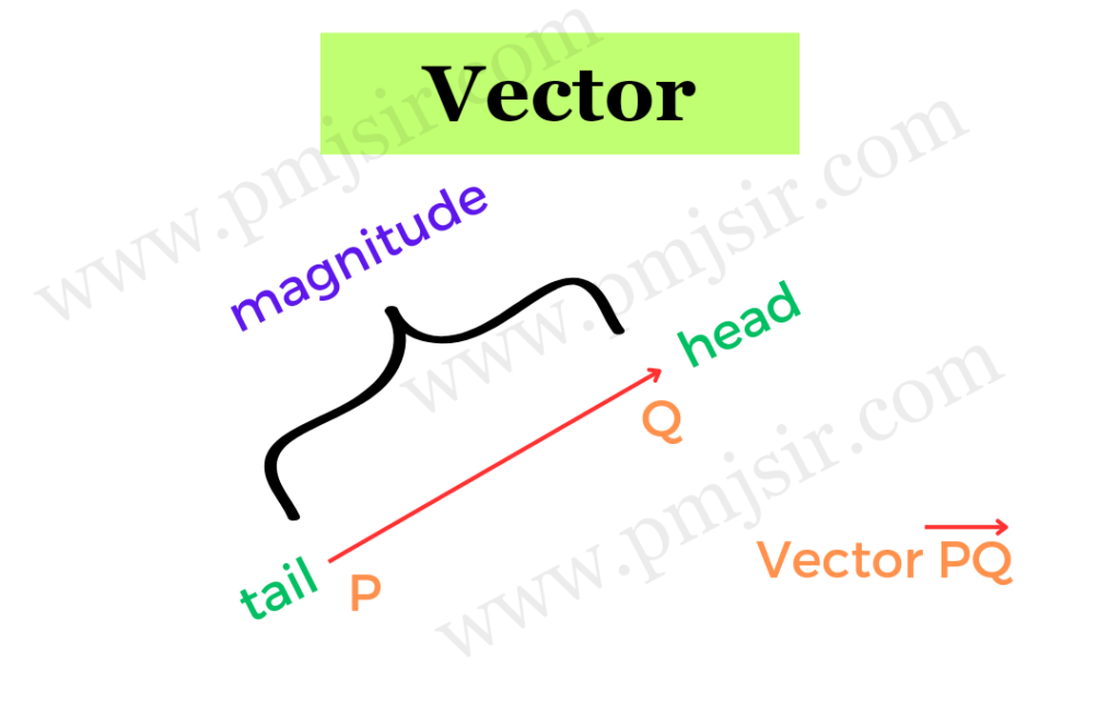 types of vectors