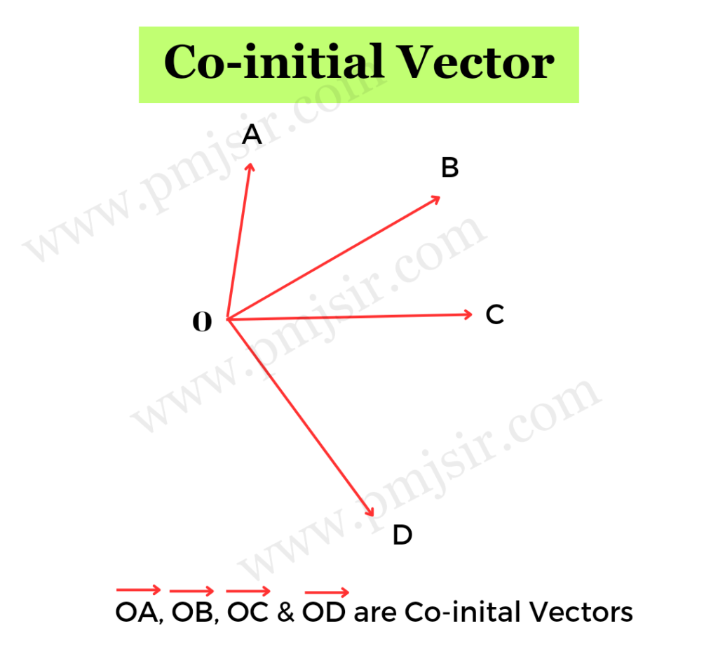 types of vector