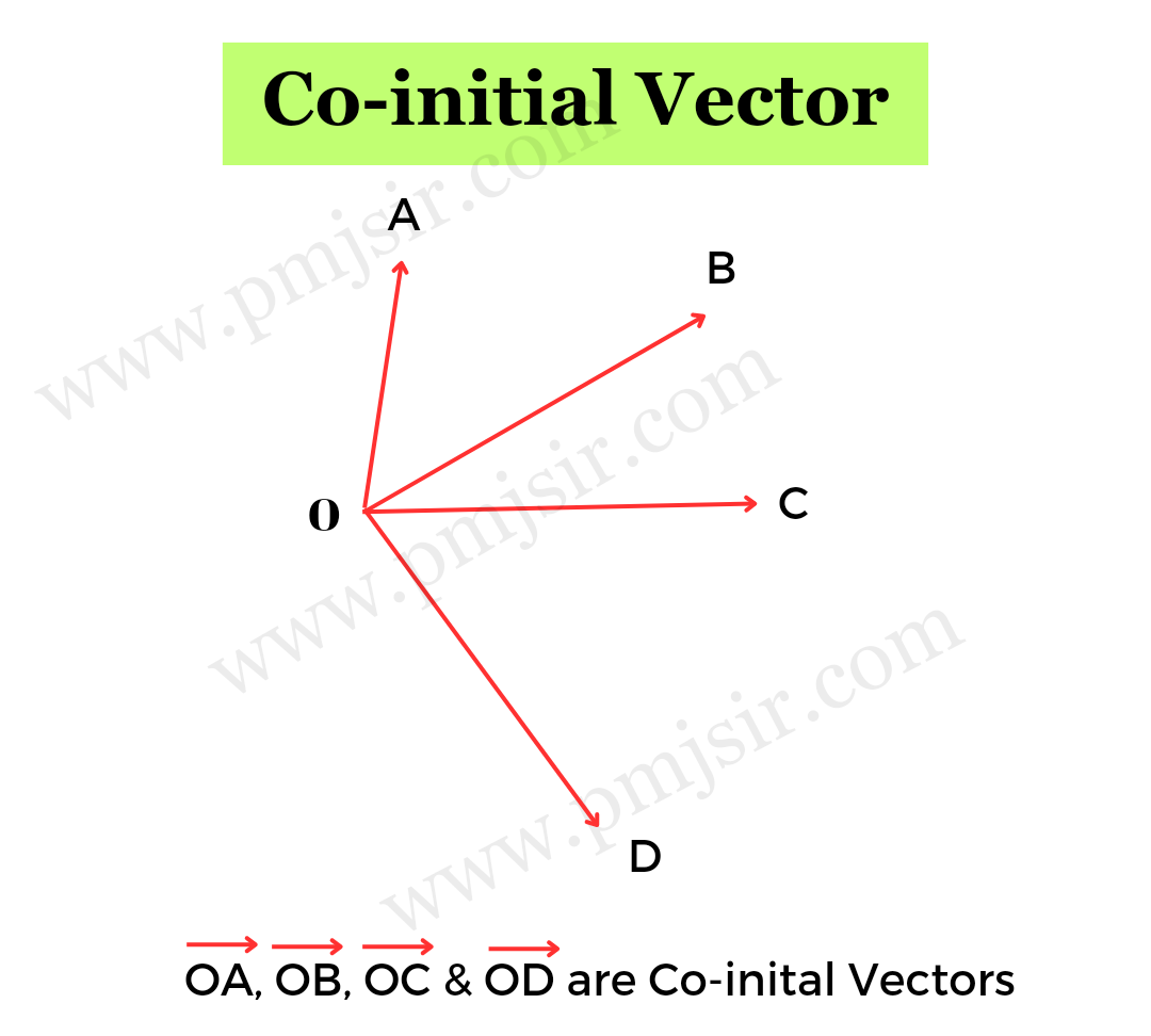 What Are Various Types Of Vectors Physics Around Us